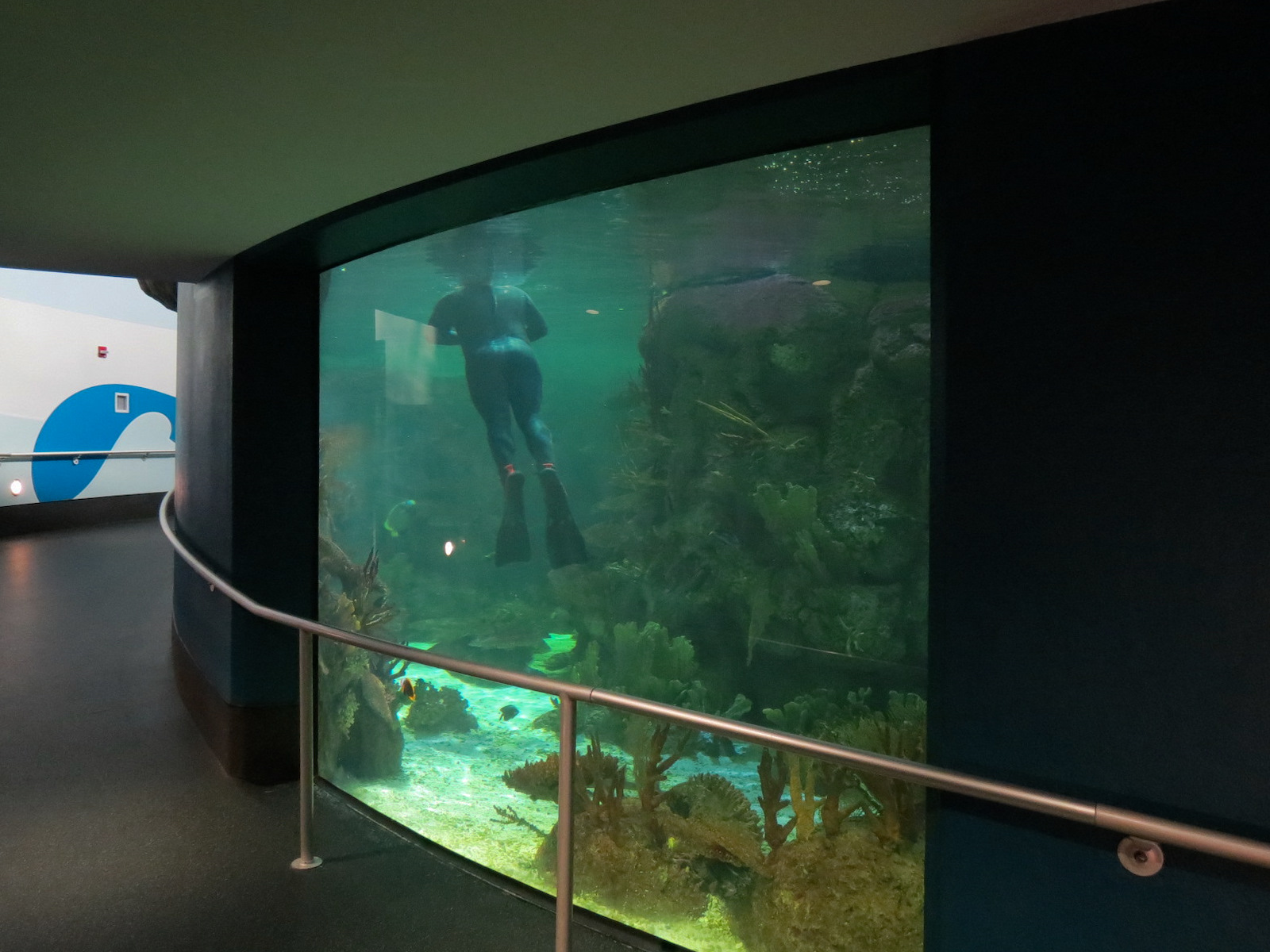 Aquarium - South Pacific - Main Exhibit - Lower Level