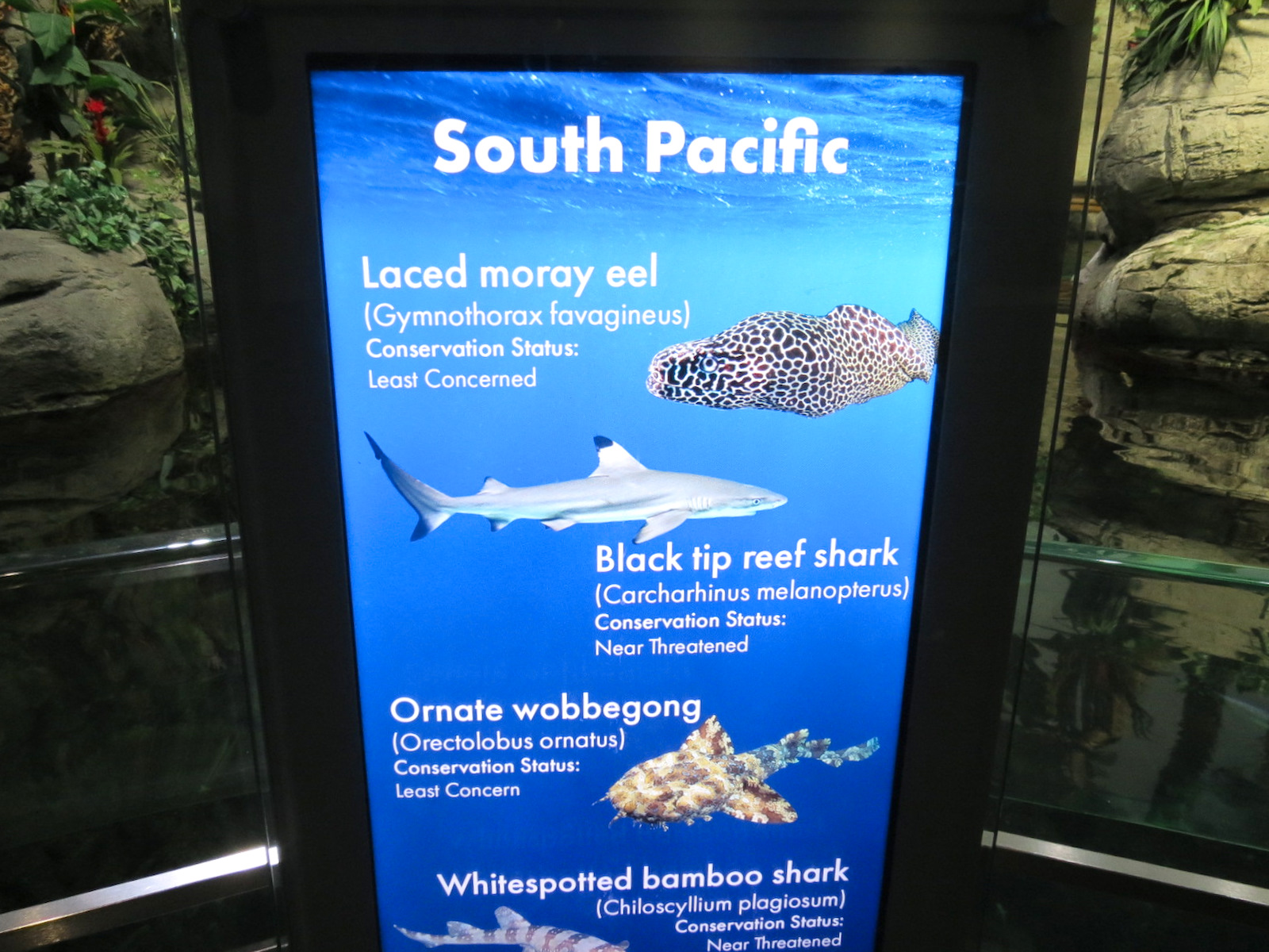 Aquarium - South Pacific - Main Exhibit - Upper Level - Sign