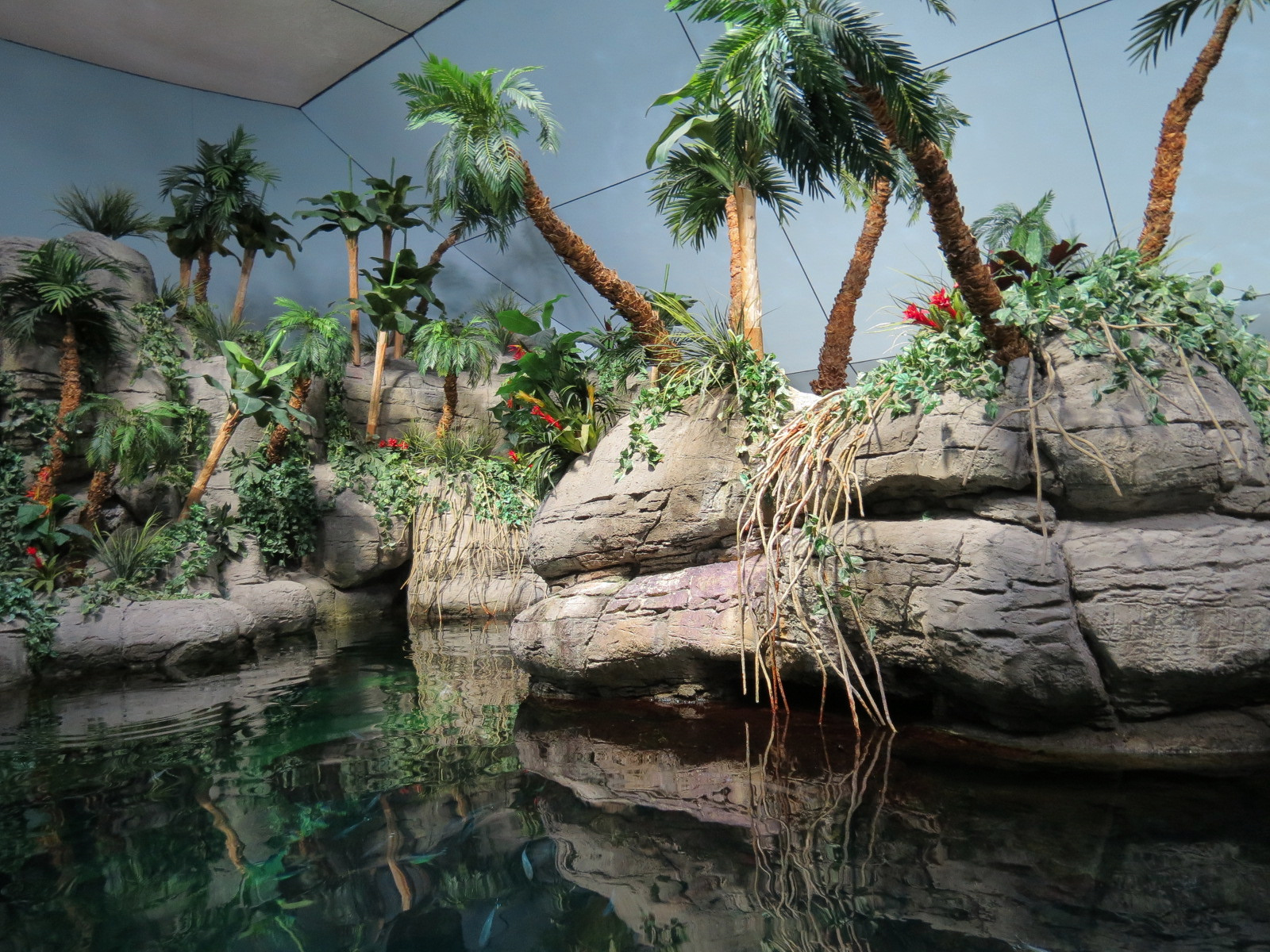 Aquarium - South Pacific - Main Exhibit - Upper Level