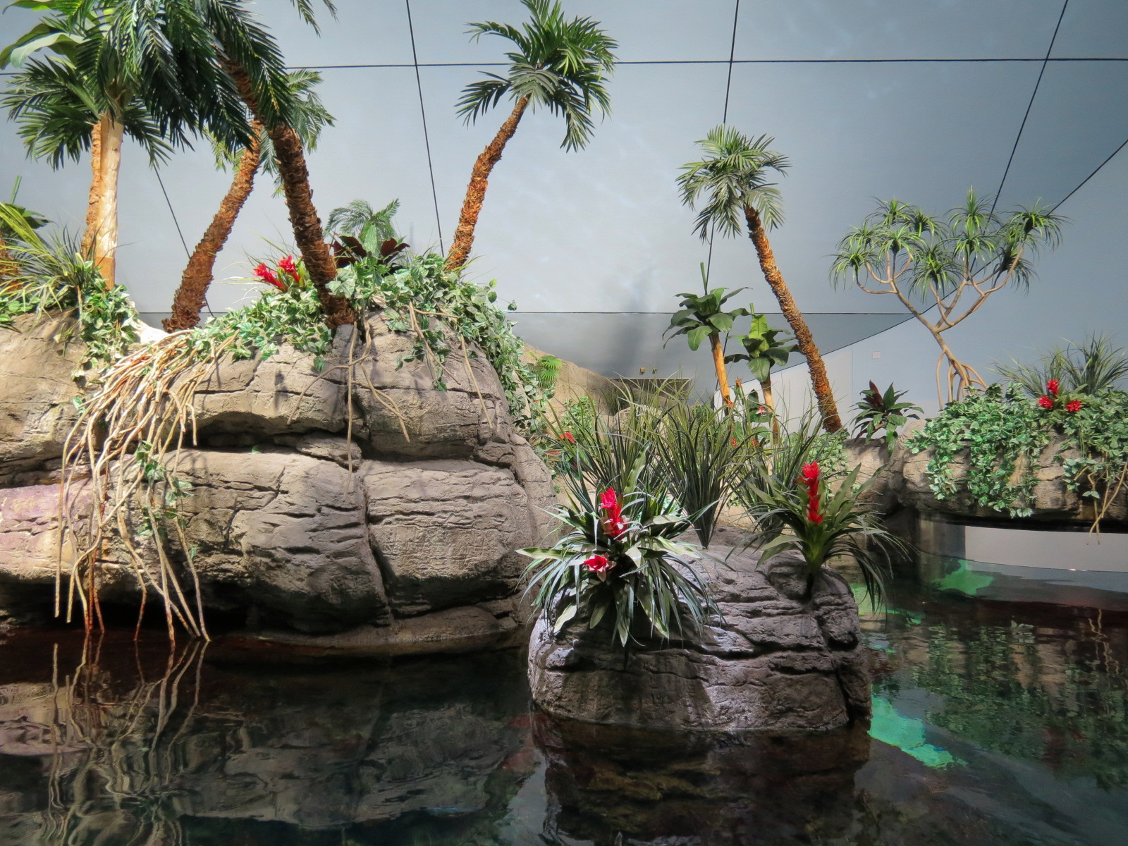 Aquarium - South Pacific - Main Exhibit - Upper Level