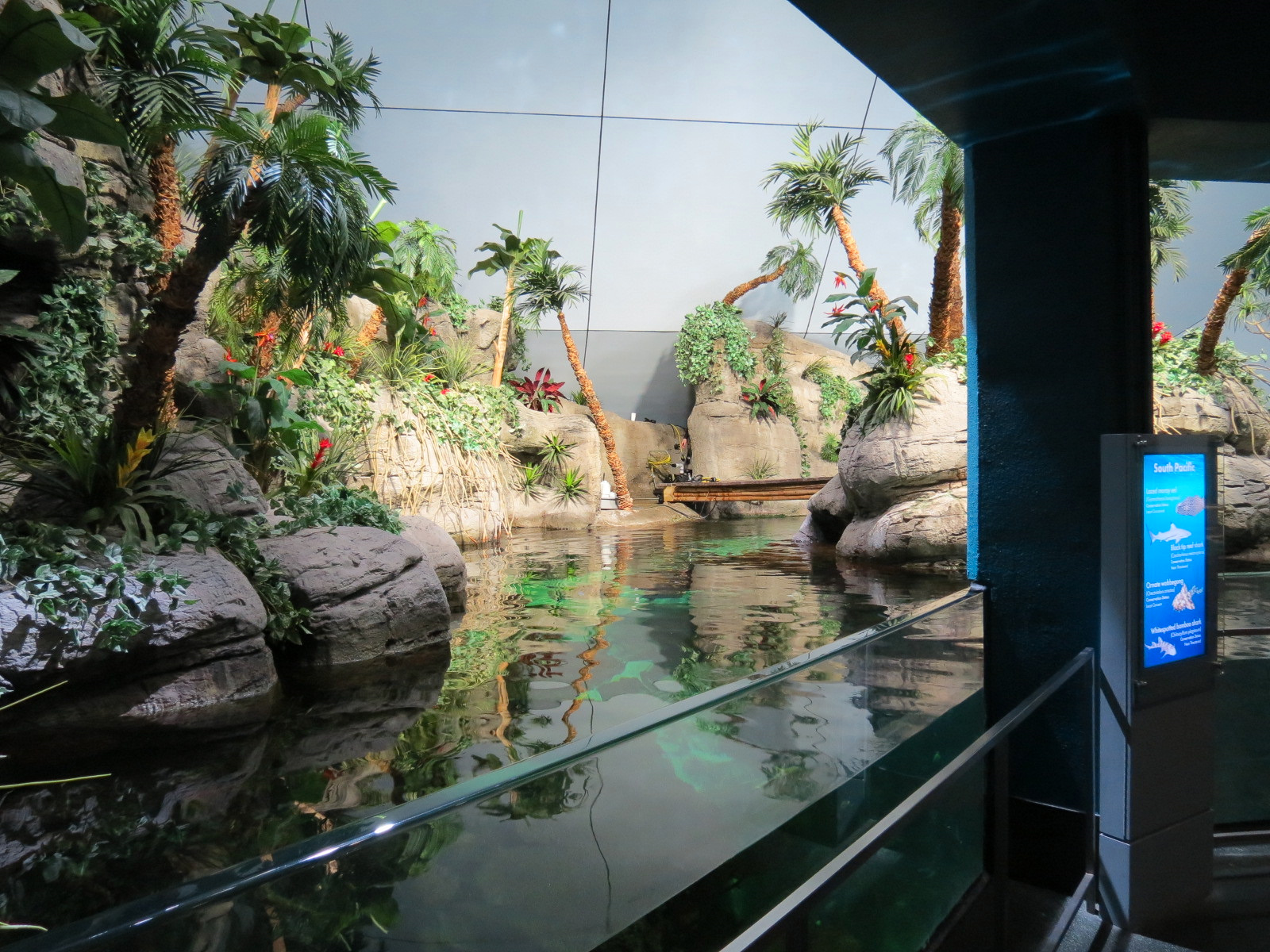 Aquarium - South Pacific - Main Exhibit - Upper Level
