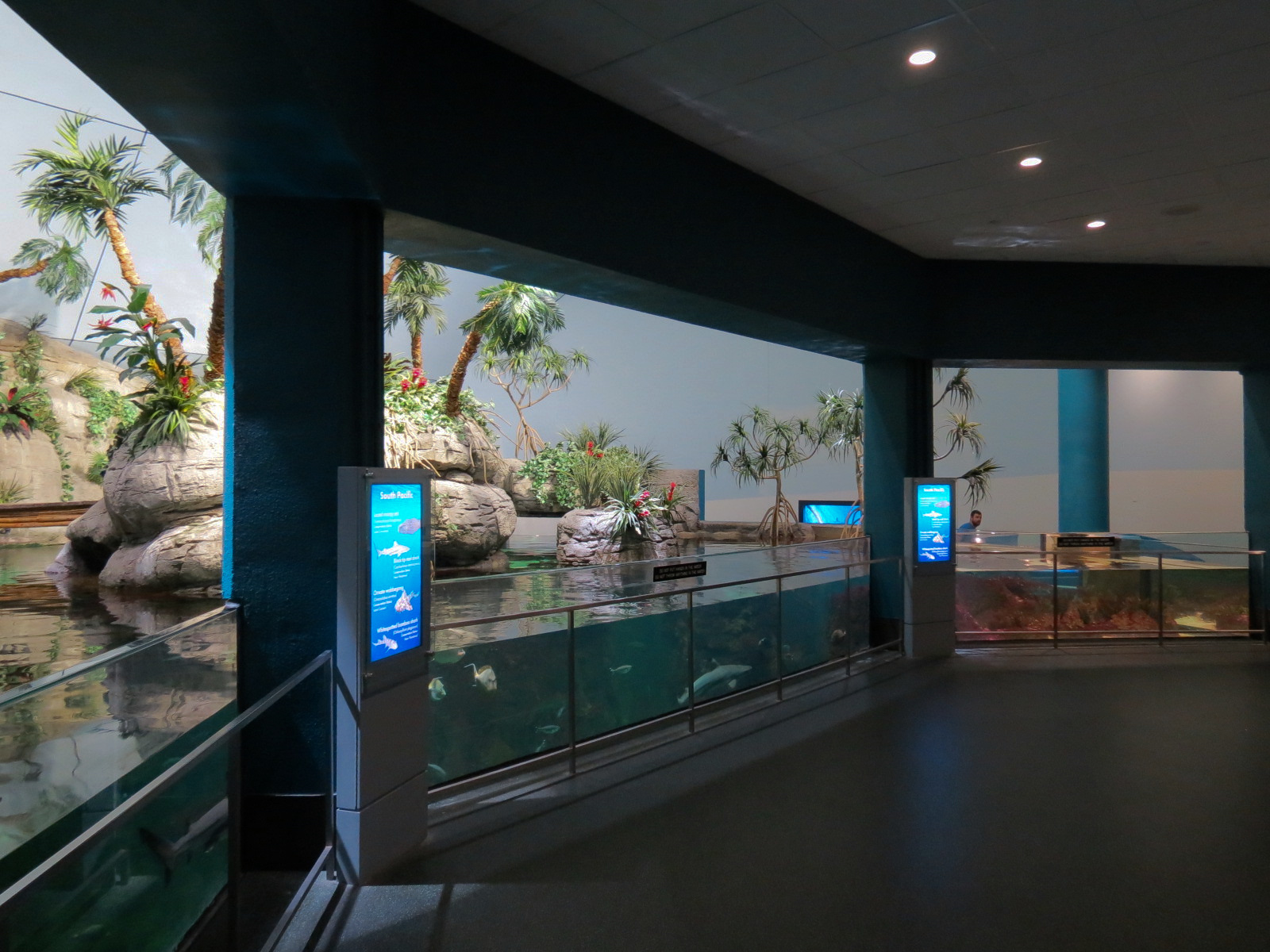 Aquarium - South Pacific - Main Exhibit - Upper Level