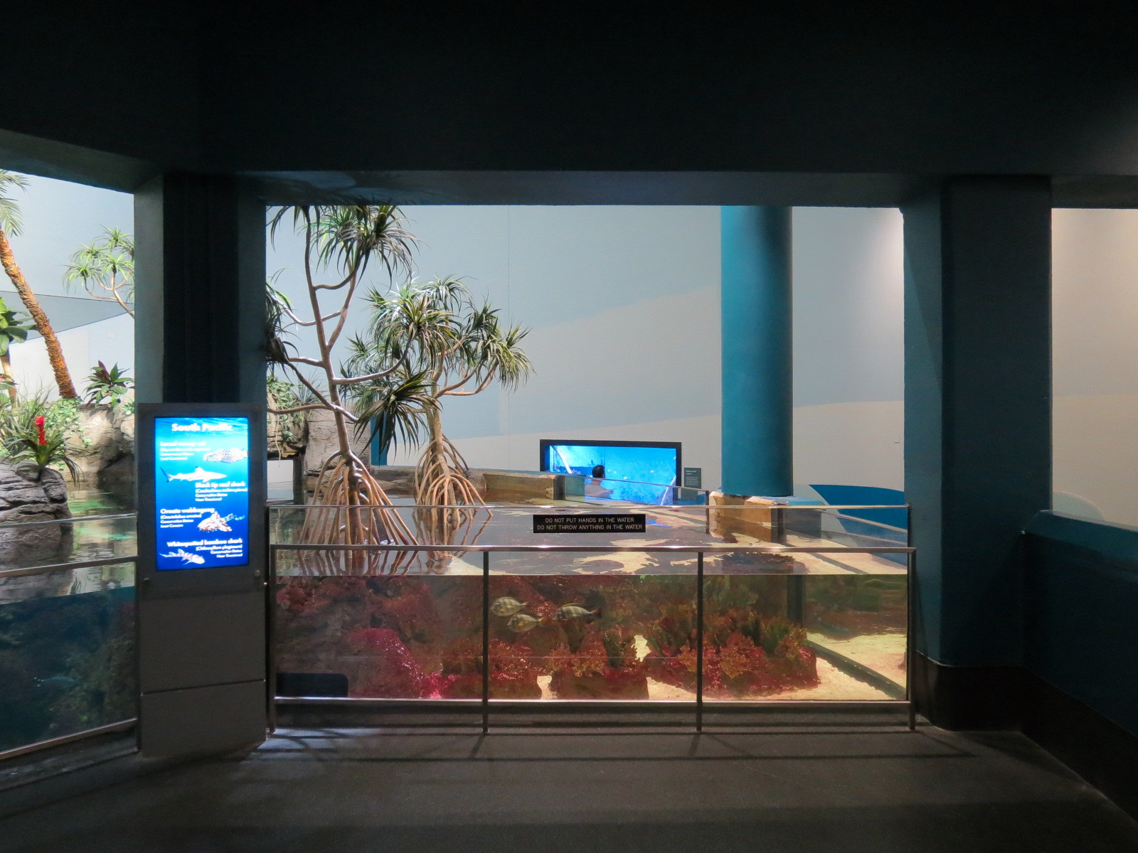 Aquarium - South Pacific - Main Exhibit - Upper Level