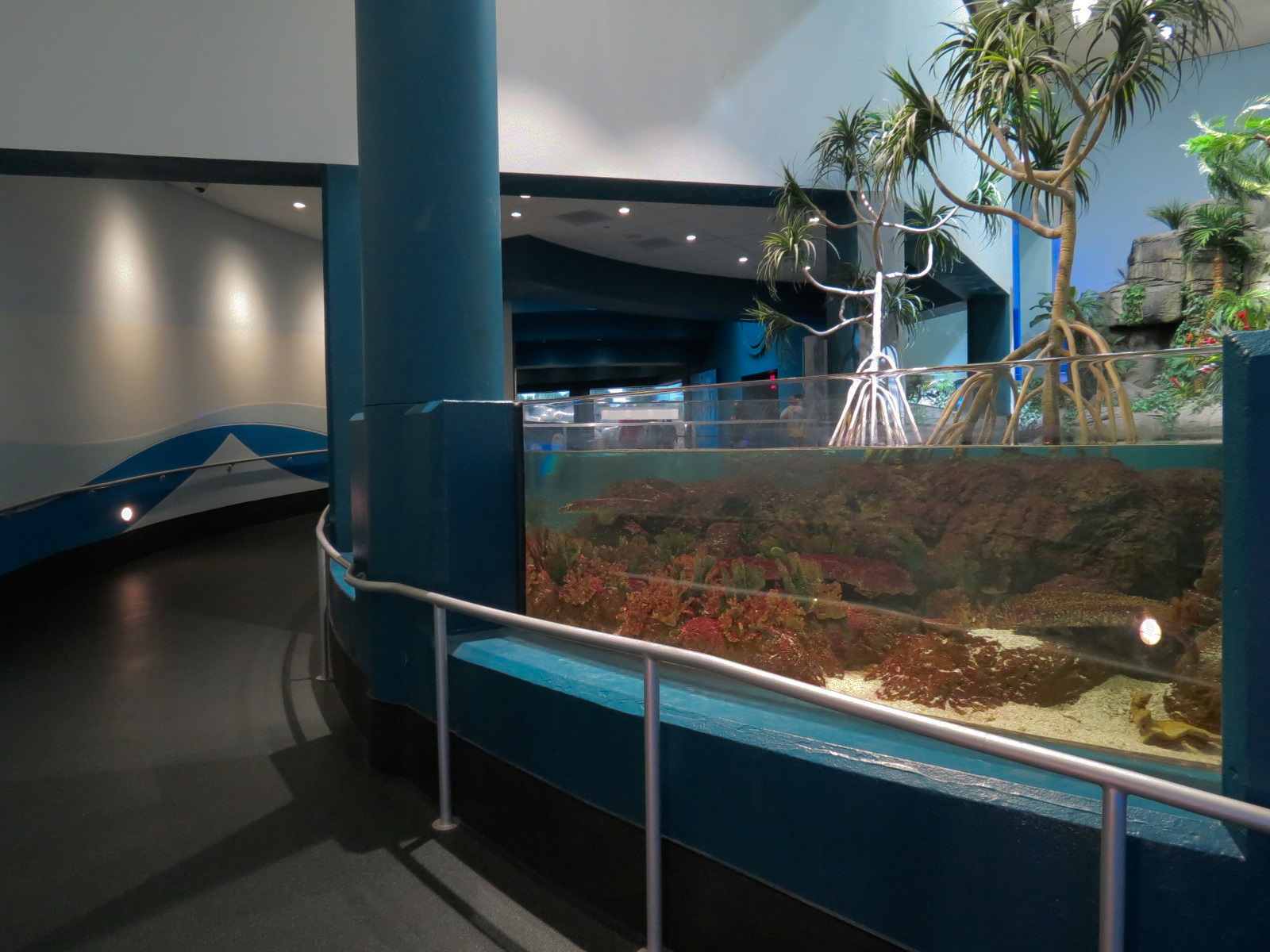 Aquarium - South Pacific - Main Exhibit - Upper Level