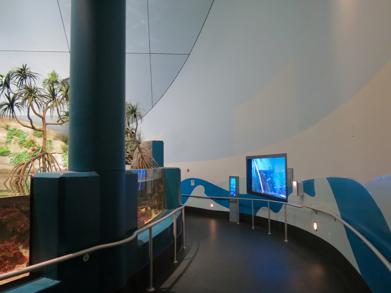 Aquarium - South Pacific - Ramp to Lower Level