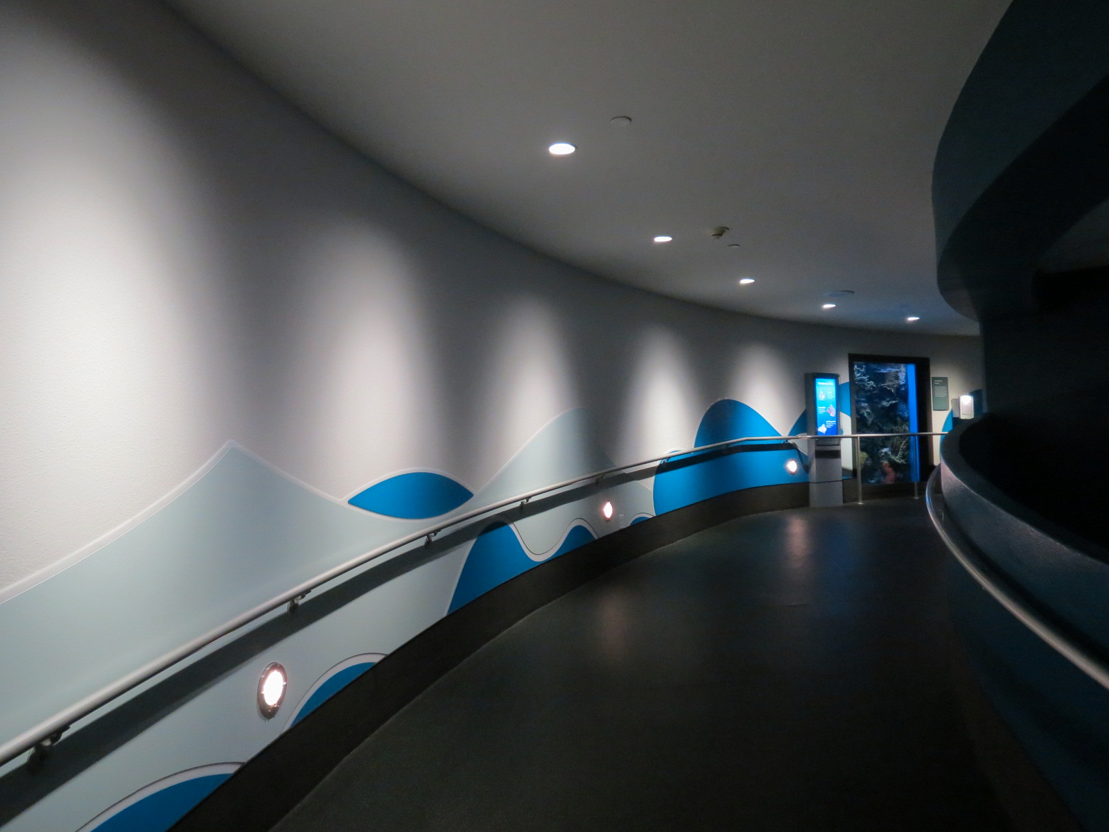 Aquarium - South Pacific - Ramp to Lower Level