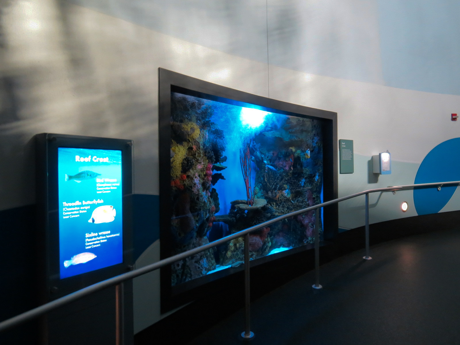 Aquarium - South Pacific - Reef Crest Exhibit