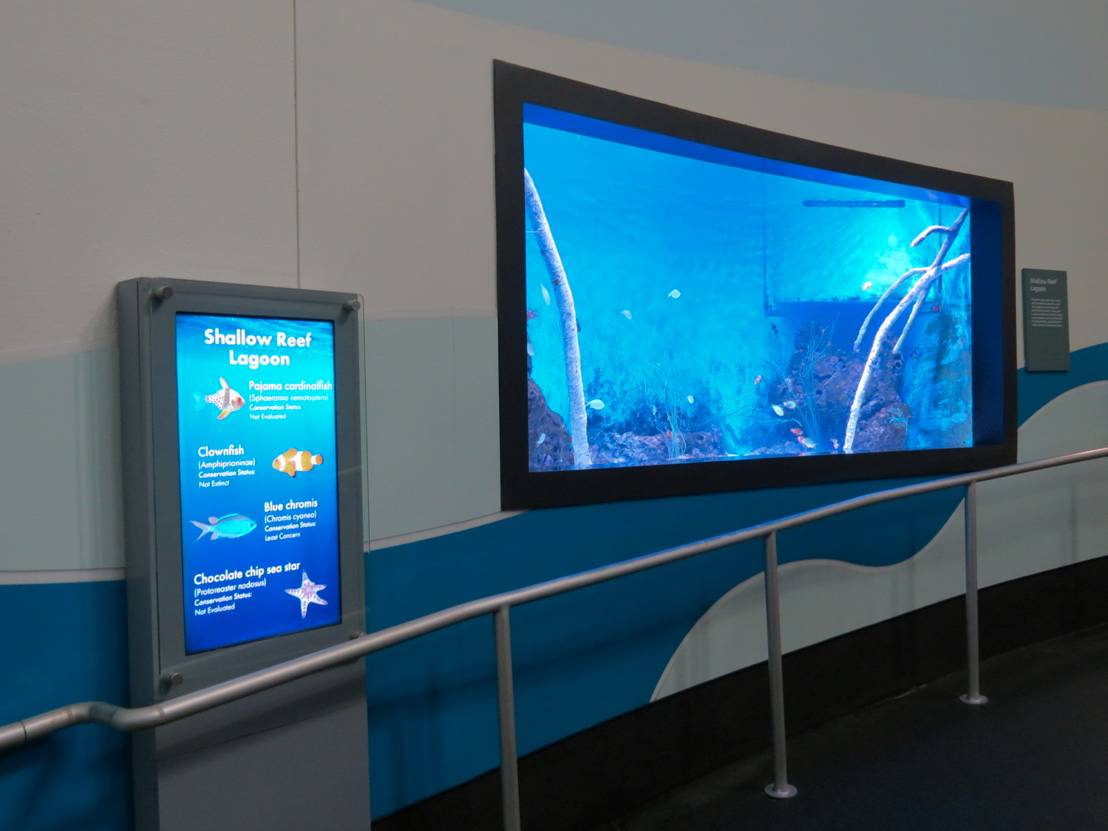 Aquarium - South Pacific - Shallow Reef Lagoon Exhibit