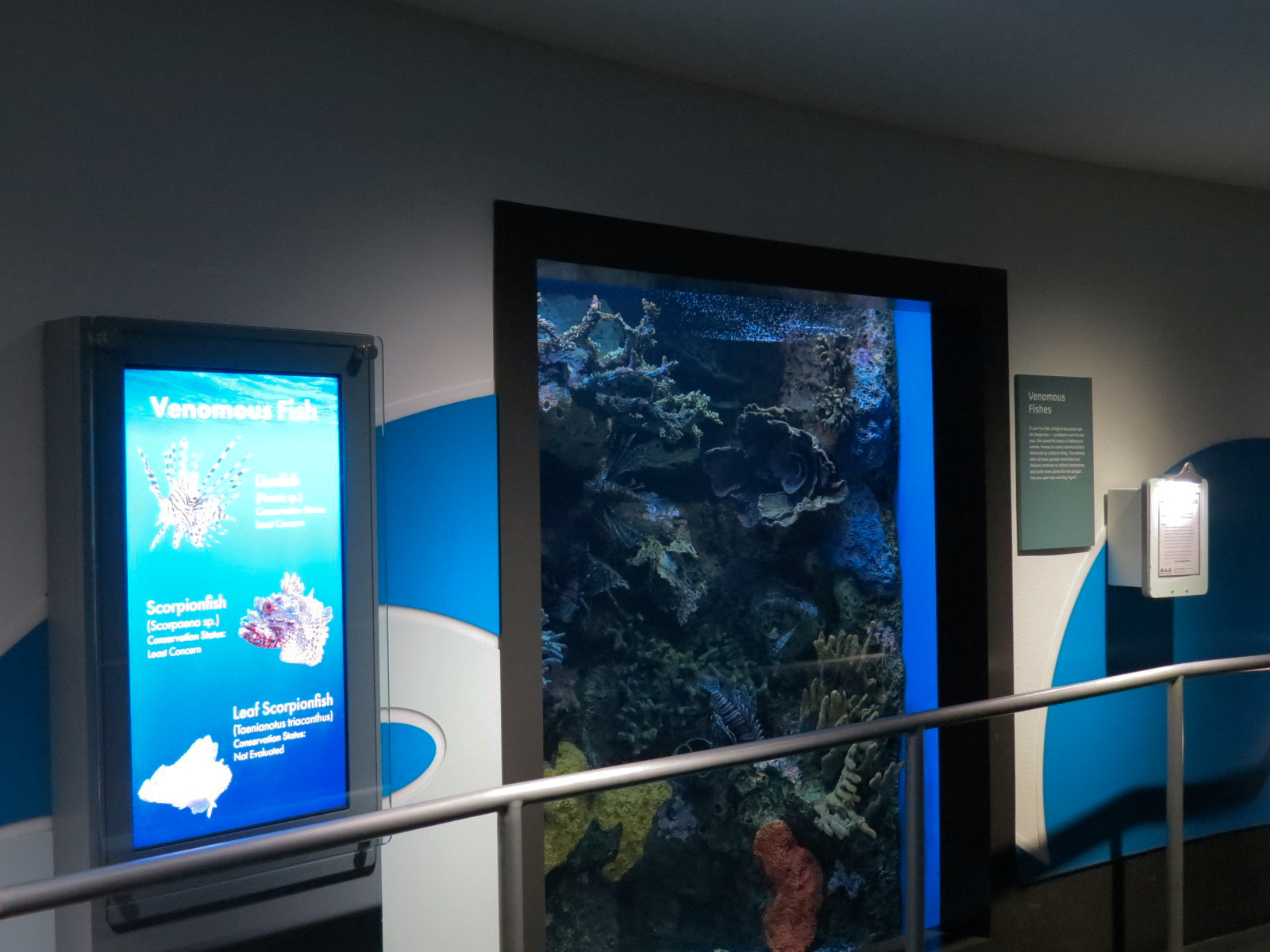 Aquarium - South Pacific - Venomous Fish Exhibit