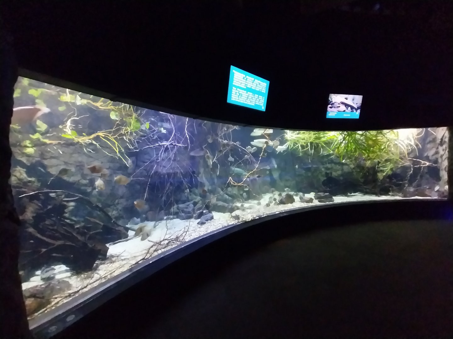 Aquarium - Southeast Asia aquarium