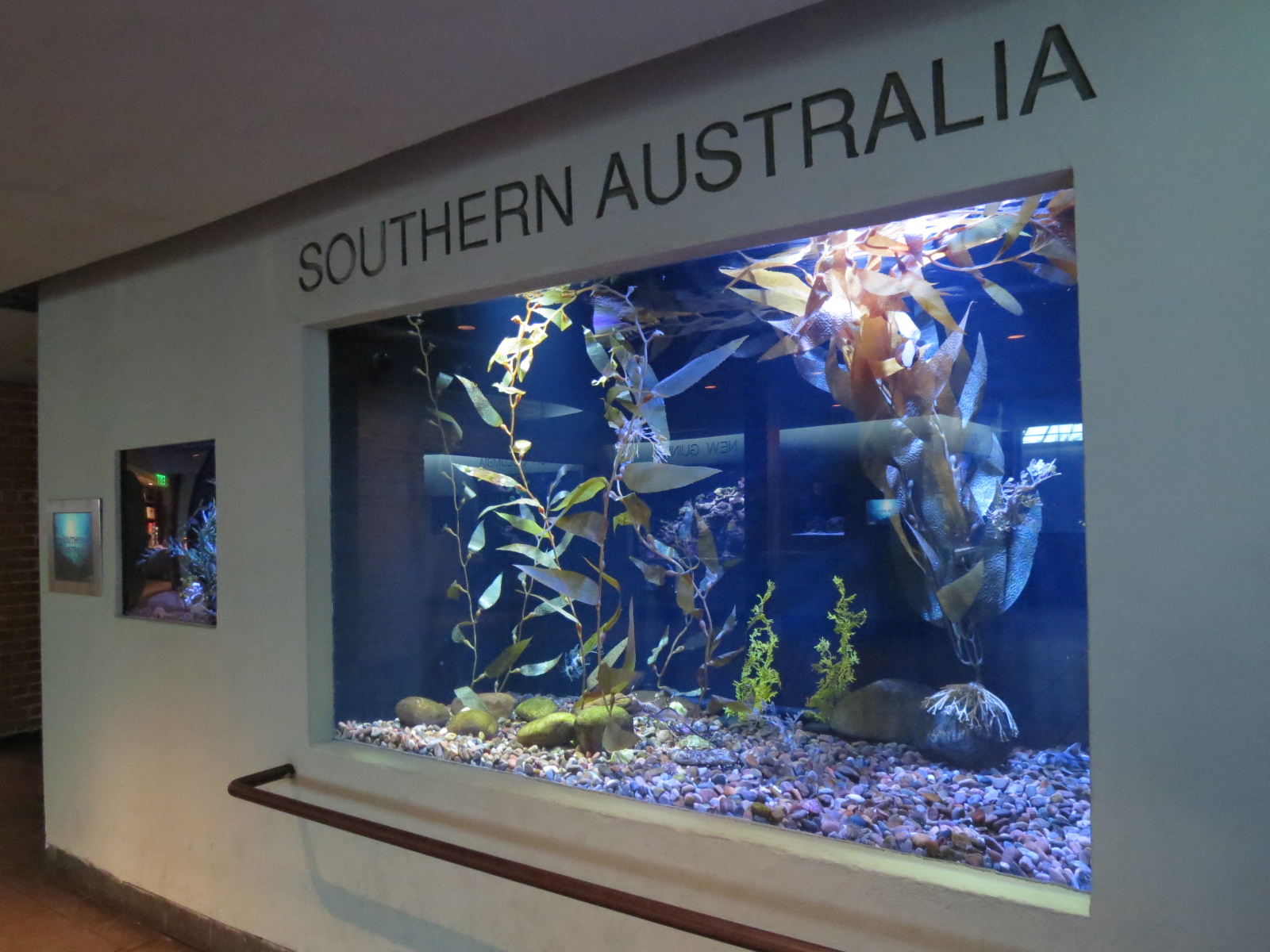 Aquarium - Southern Australia Exhibits