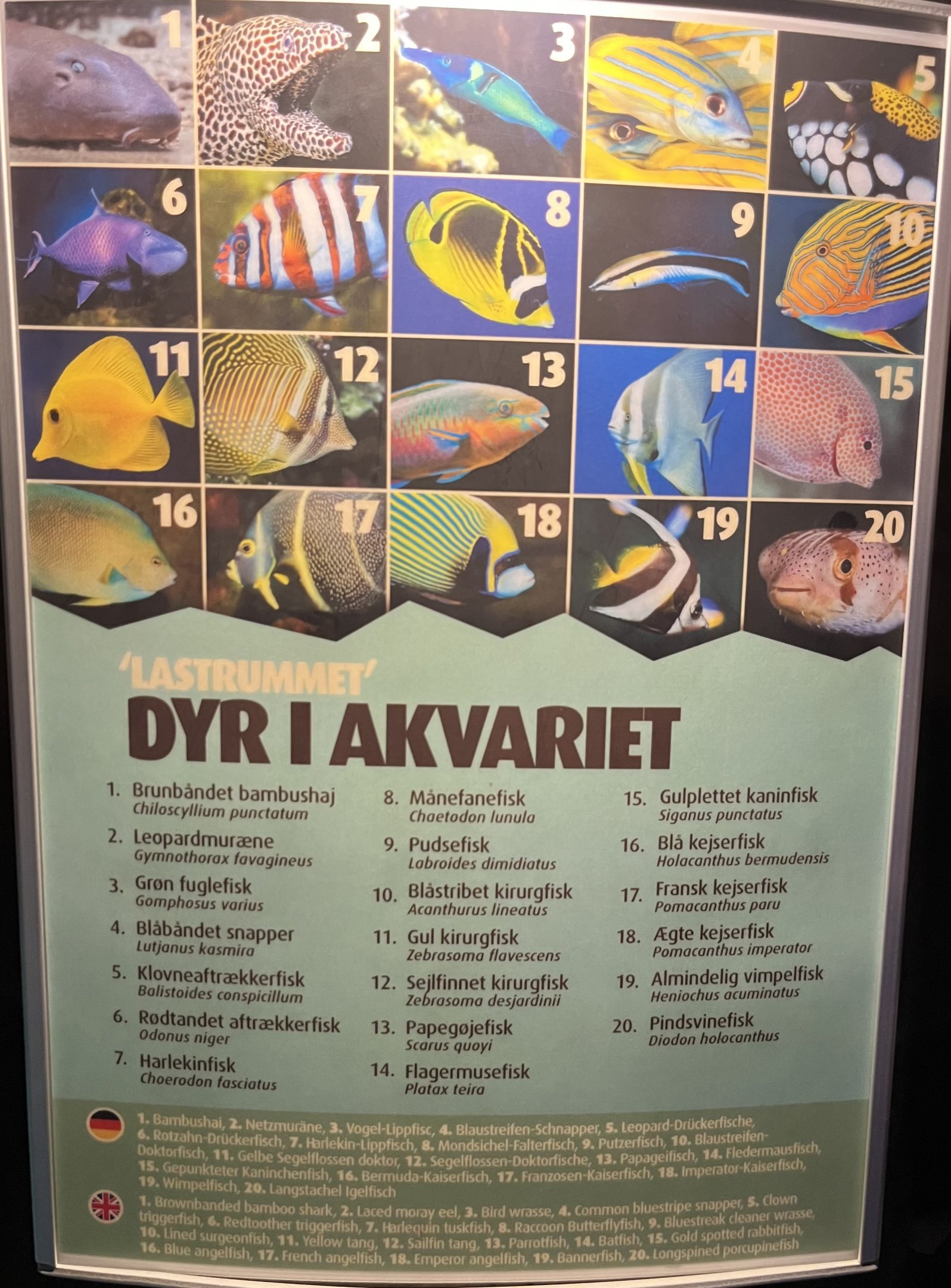 Aquarium - species list