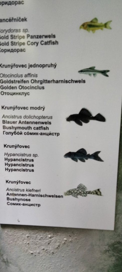 Aquarium species p.3