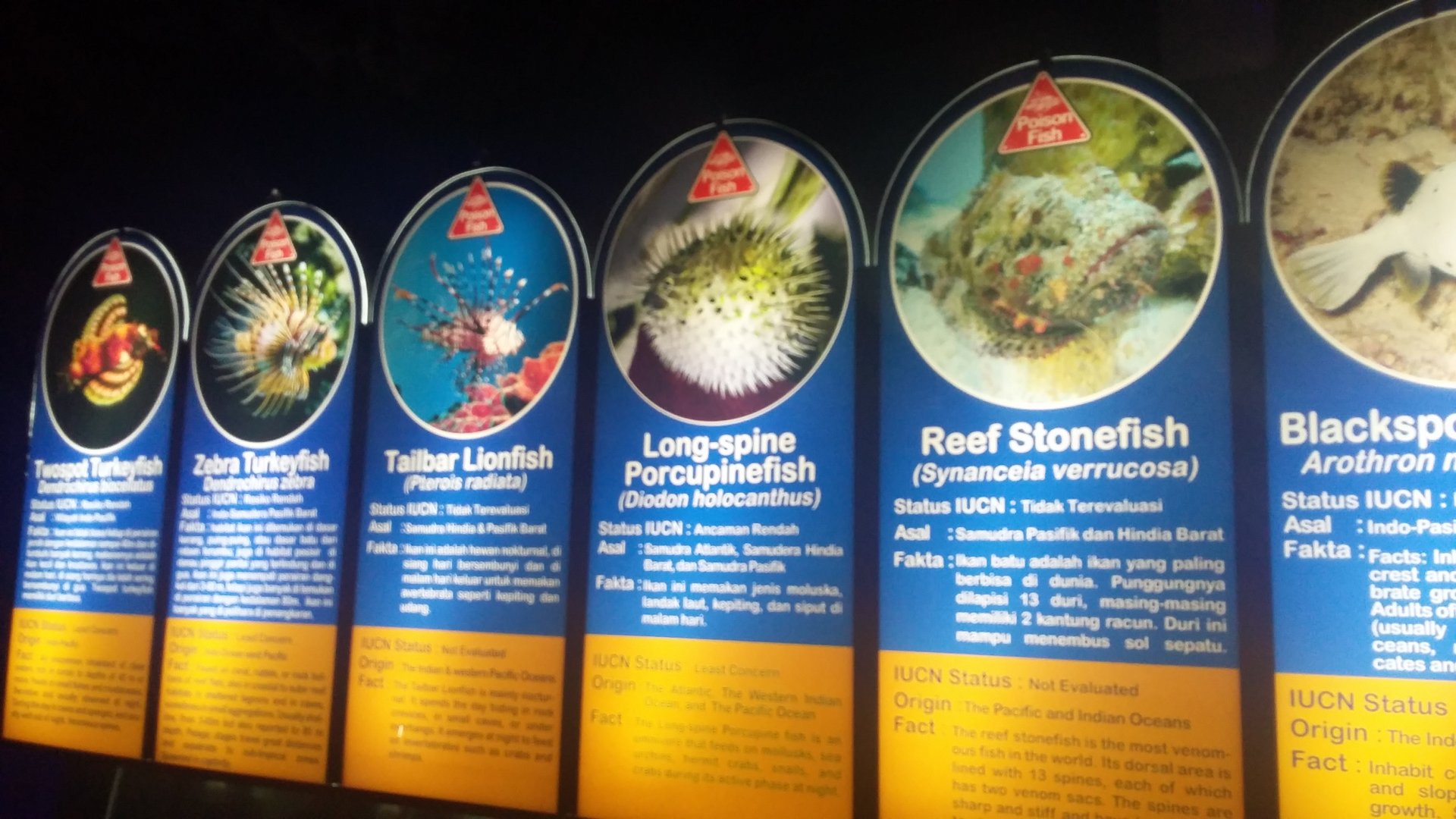 Aquarium species panel 2