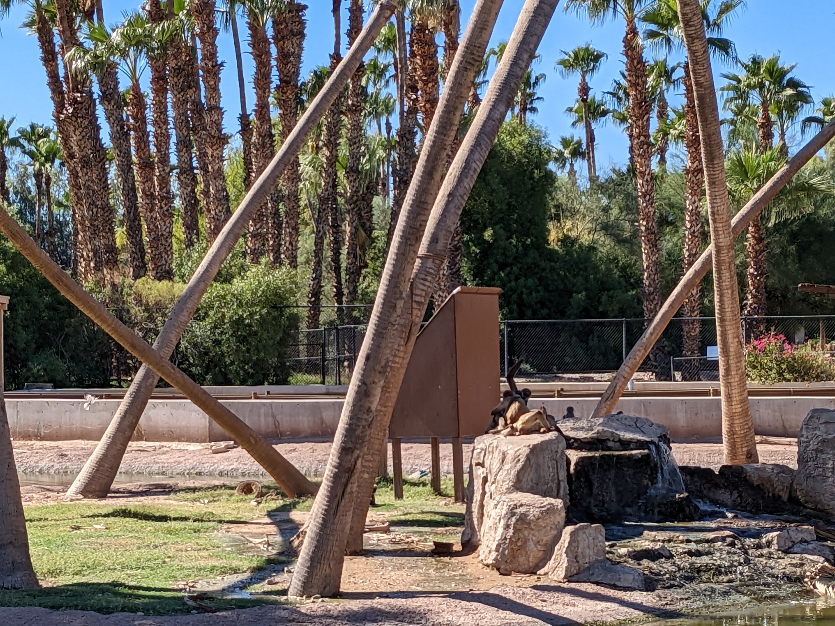 Aquarium - spider monkey island