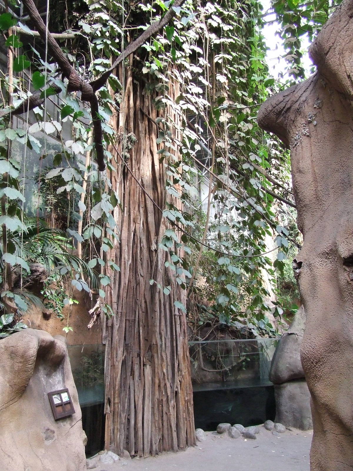 Aquarium, Taman Indah