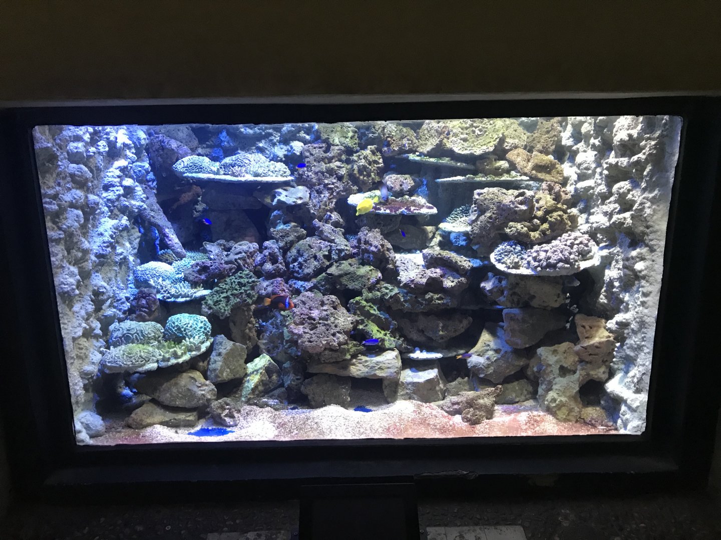 Aquarium tank 171018