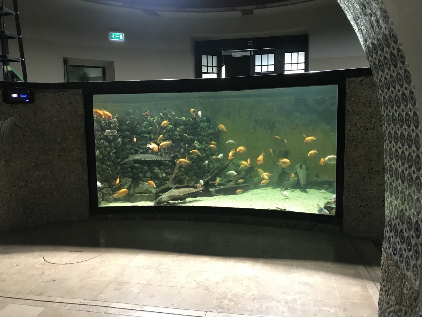 Aquarium tank 171018