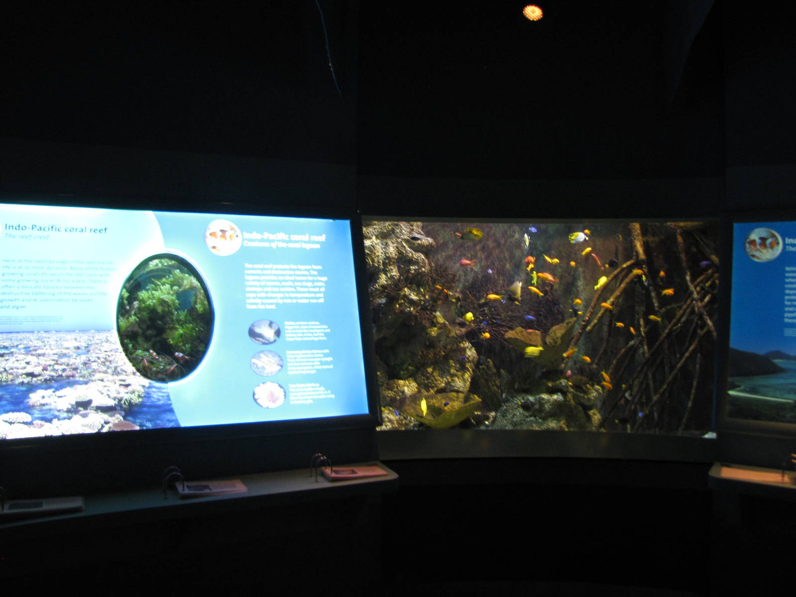 aquarium tank and display