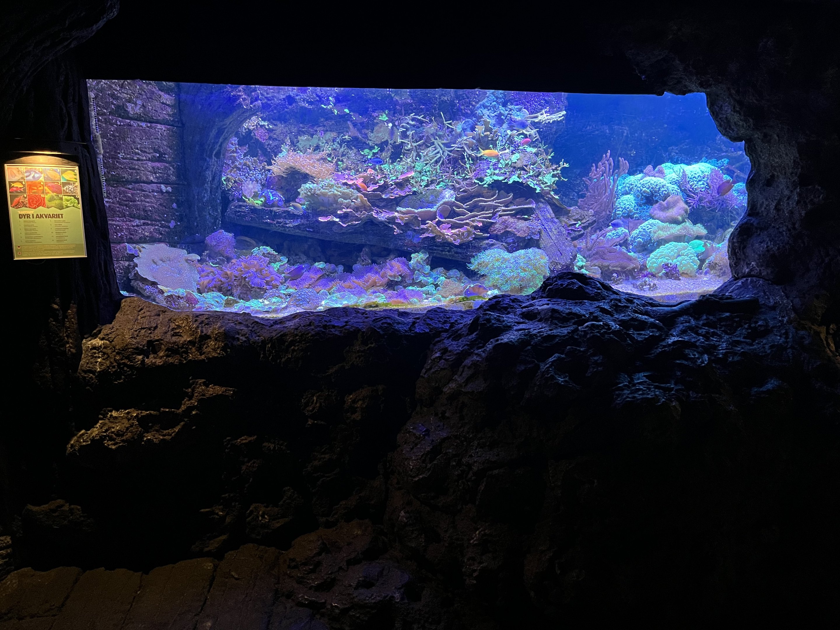 Aquarium Tank (one of 10)