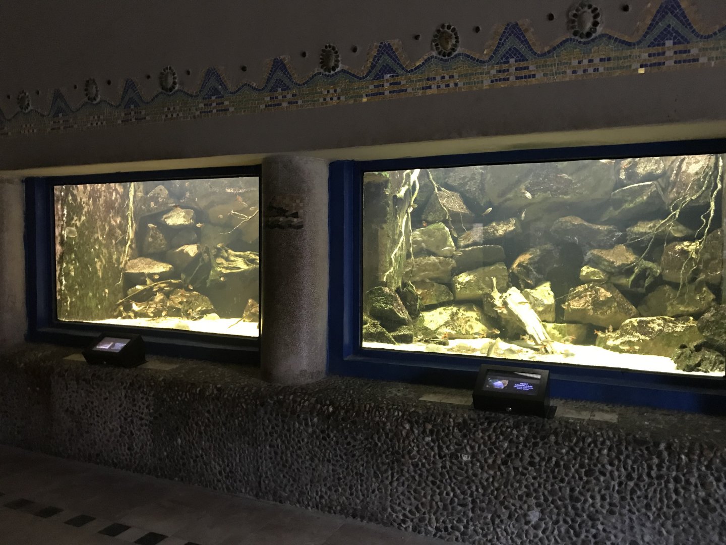 Aquarium tanks 171018