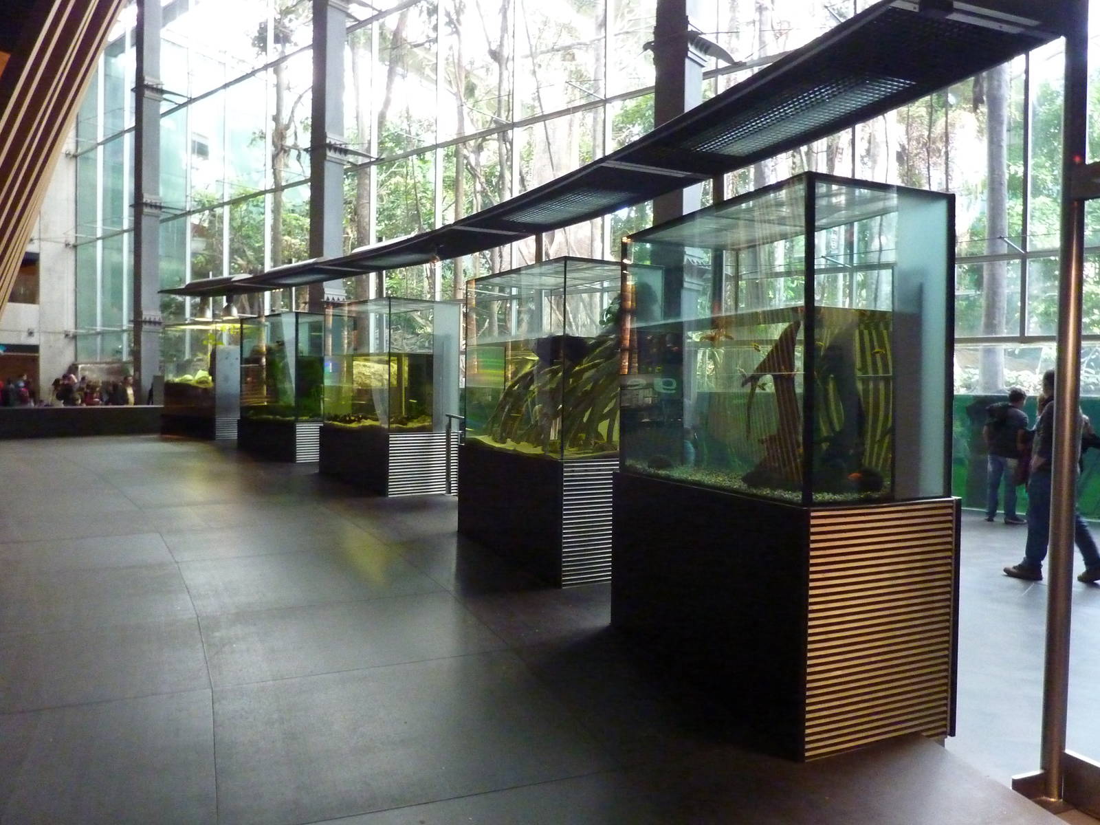 Aquarium tanks, 7th April 2012.