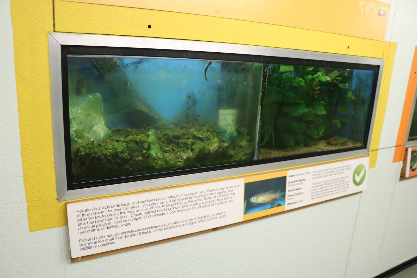 Aquarium tanks - Bolton Museum, September 2015