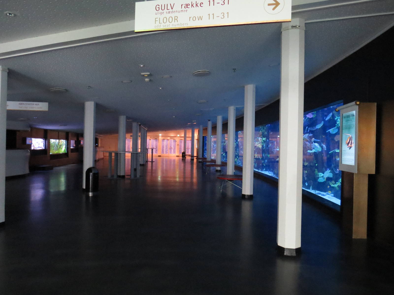 Aquarium tanks, June 2015.