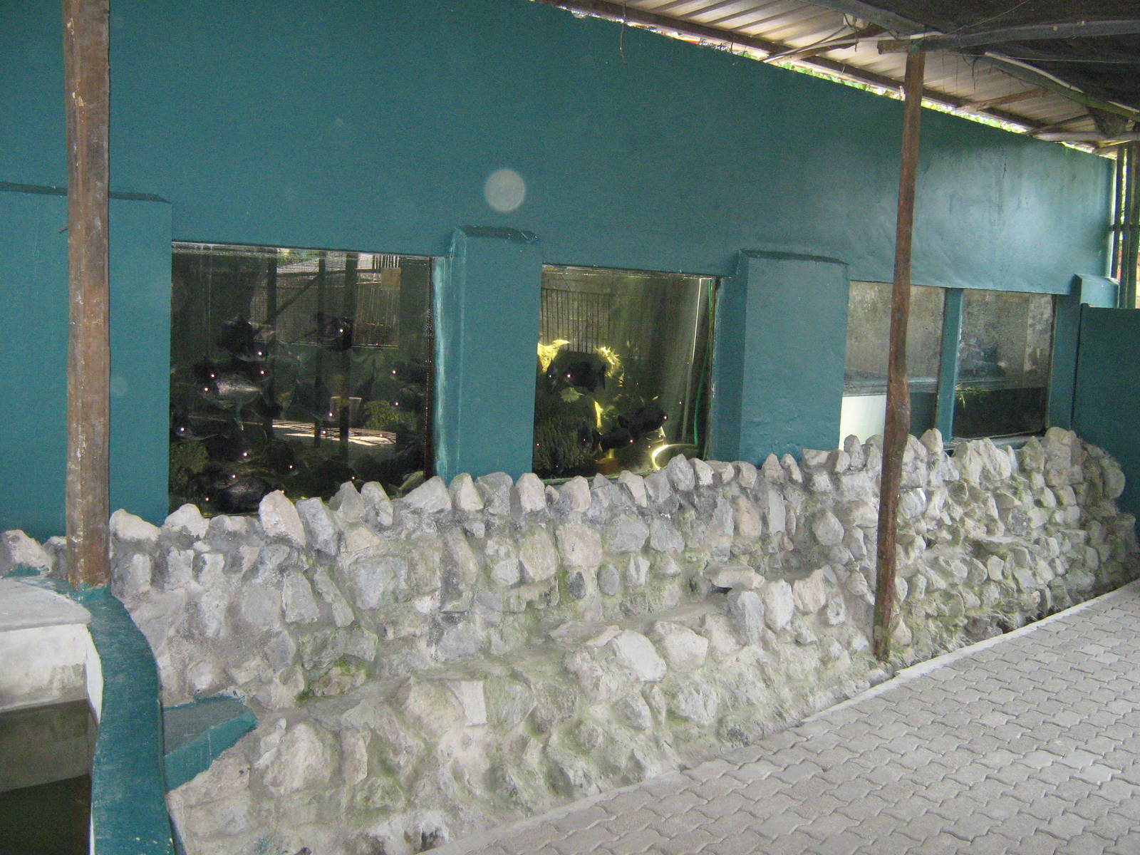 aquarium tanks