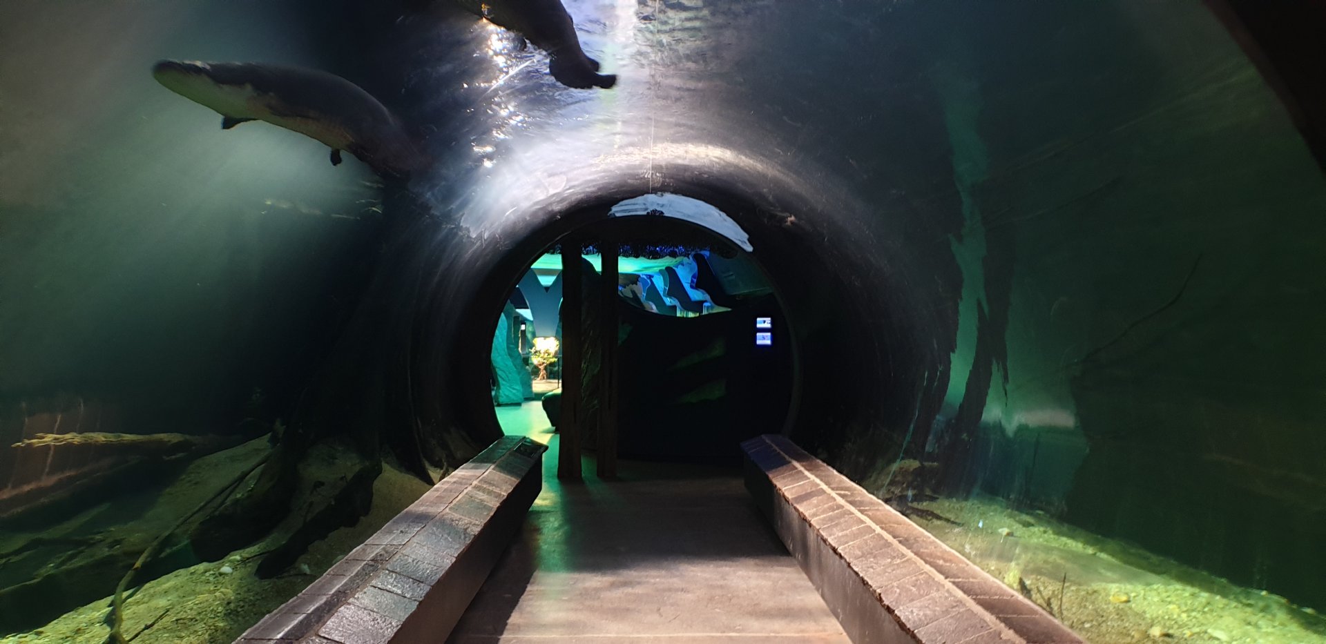 Aquarium/Terarium Tunnel