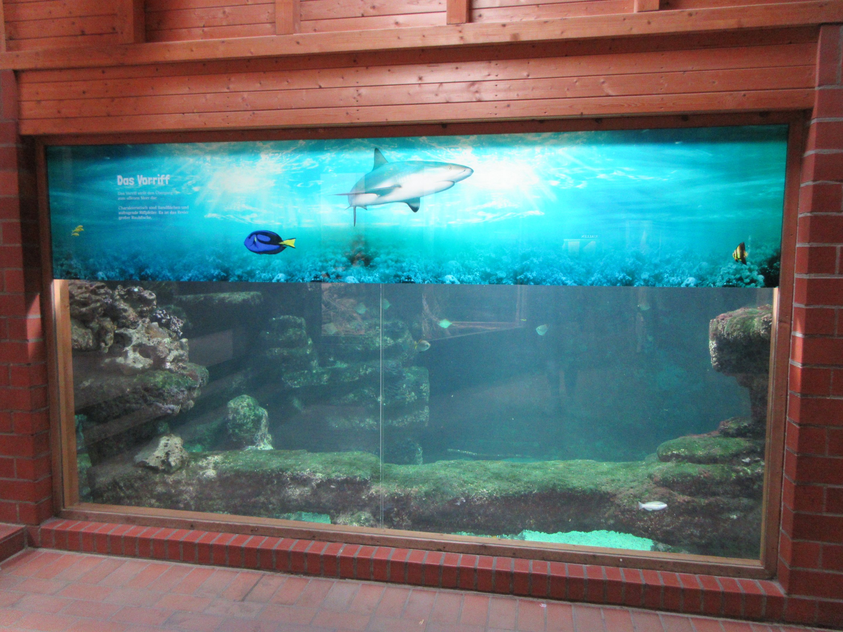 Aquarium-Terrarium Building