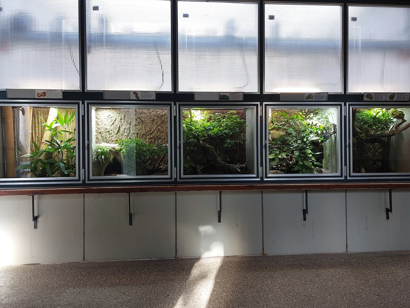 Aquarium - Terrarium examples