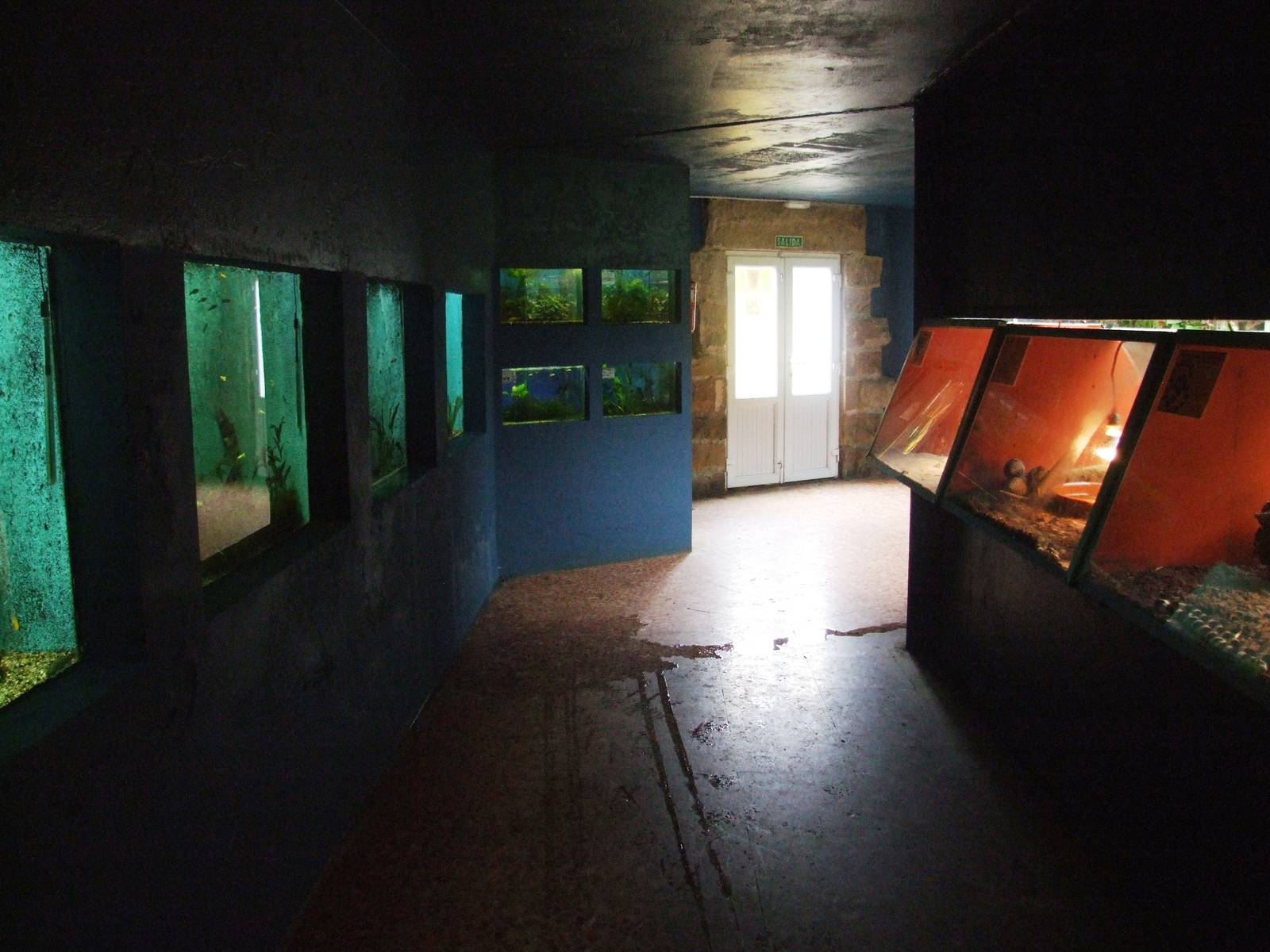 Aquarium-Terrarium Interior at Santillana del Mar, 13/06/15