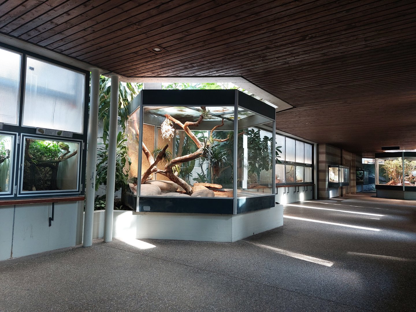 Aquarium - Terrarium section