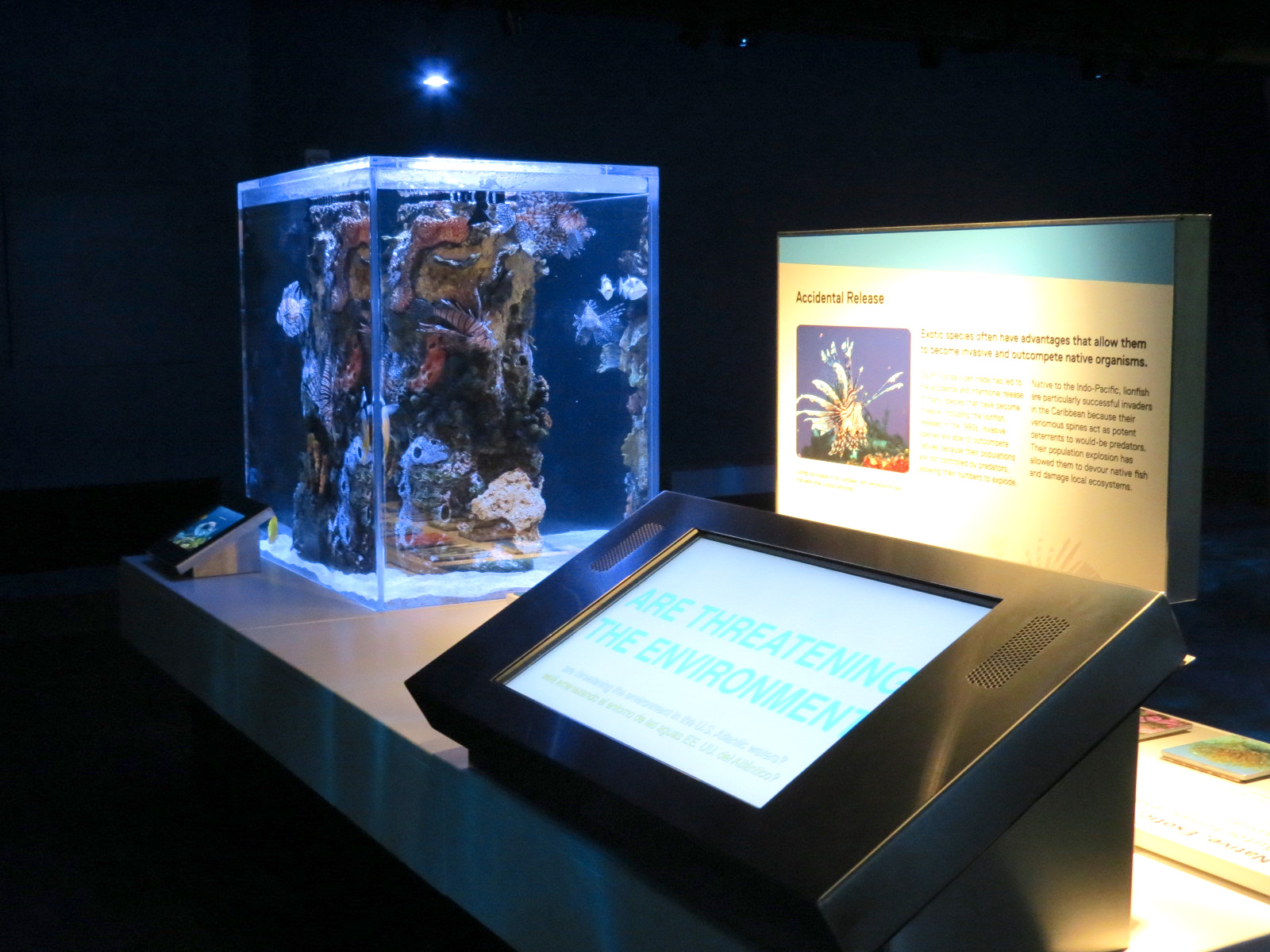 Aquarium - The Dive - Accidental Release Exhibit