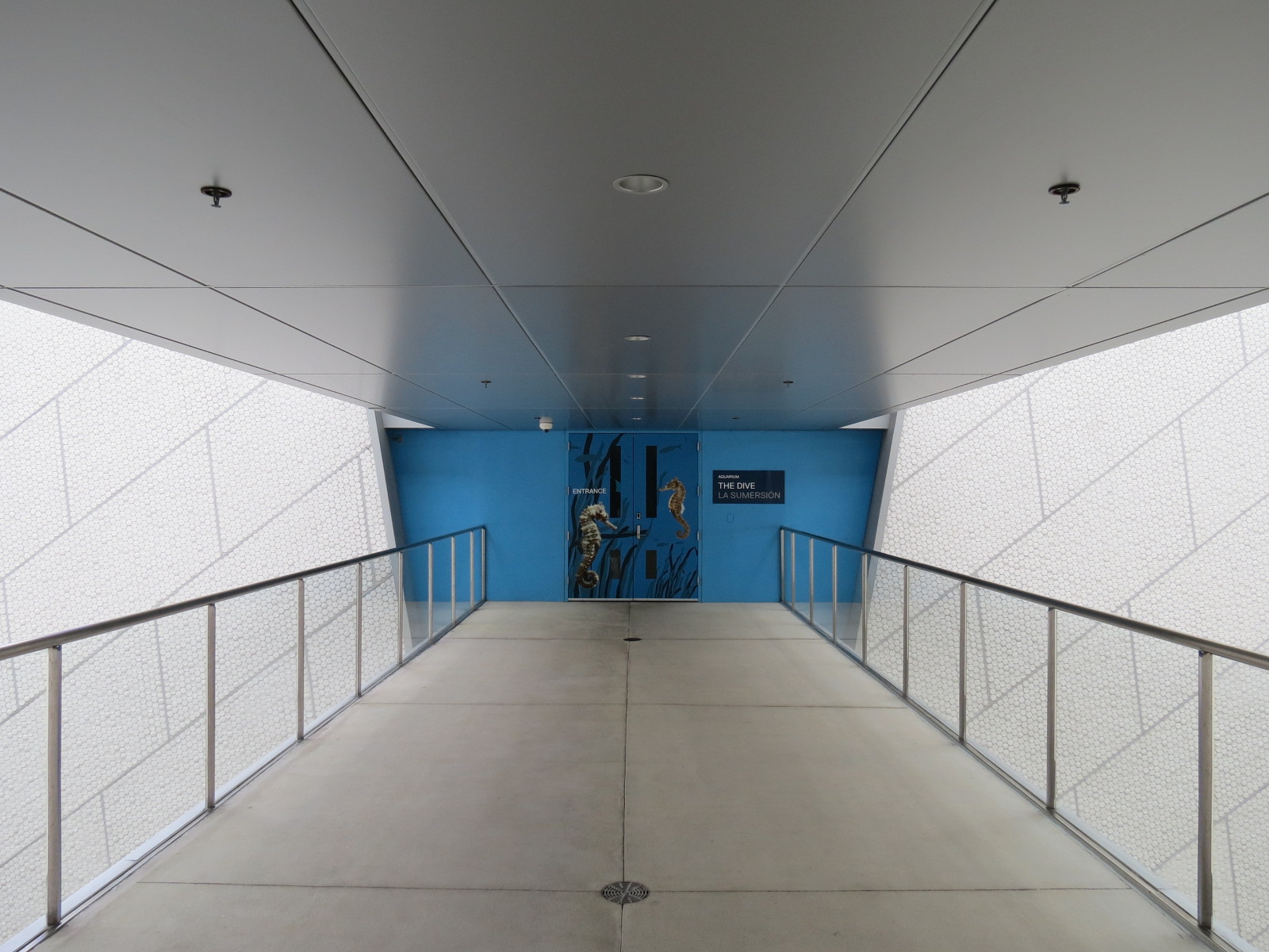 Aquarium - The Dive Entrance