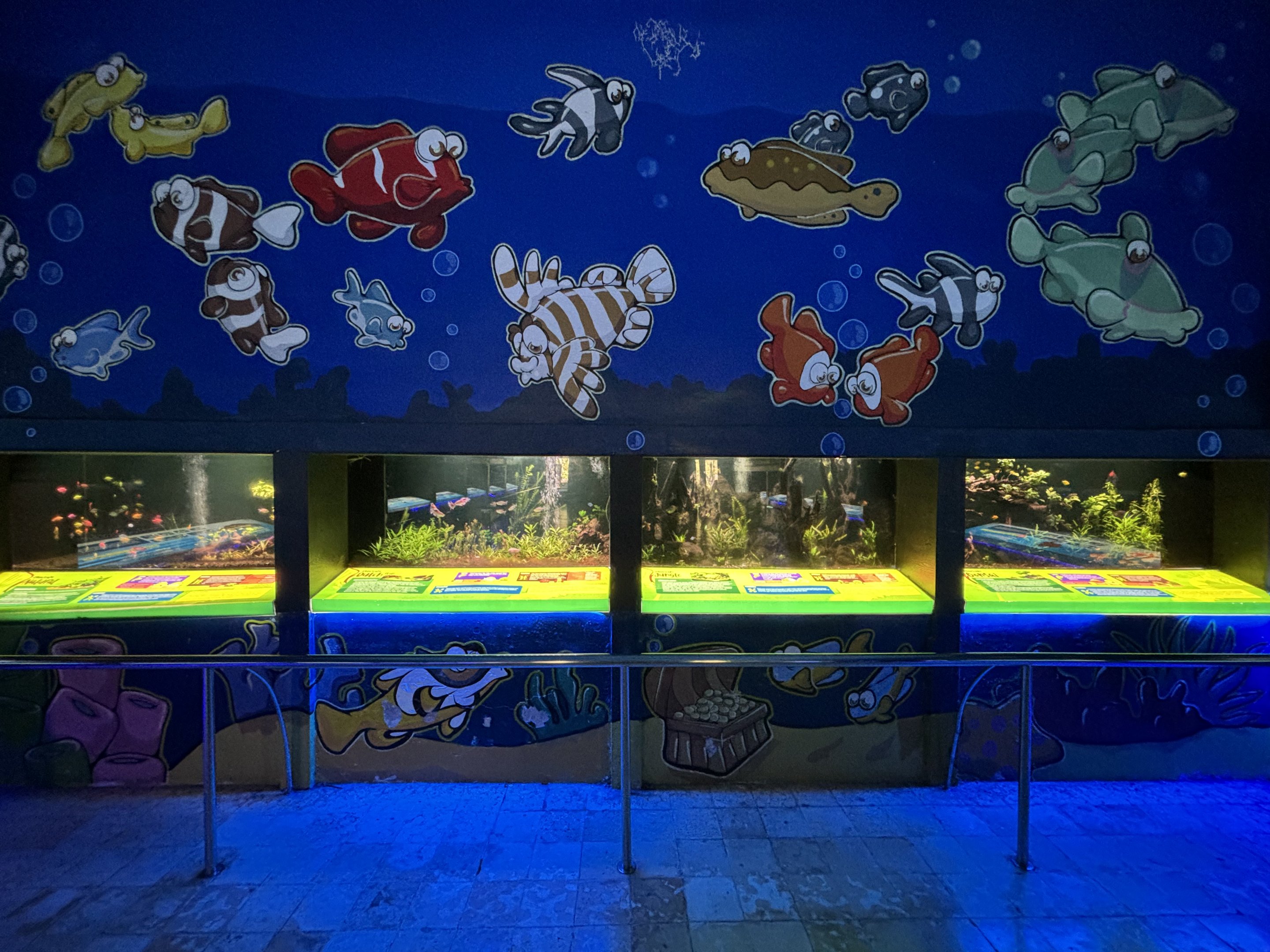 Aquarium - total of 20 tanks