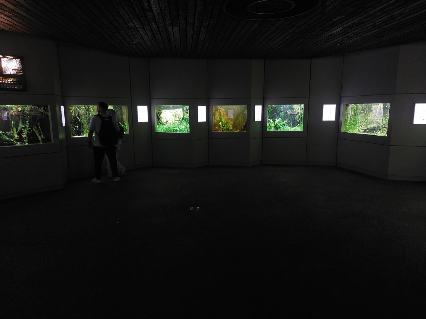 Aquarium - Tropical freshwater section