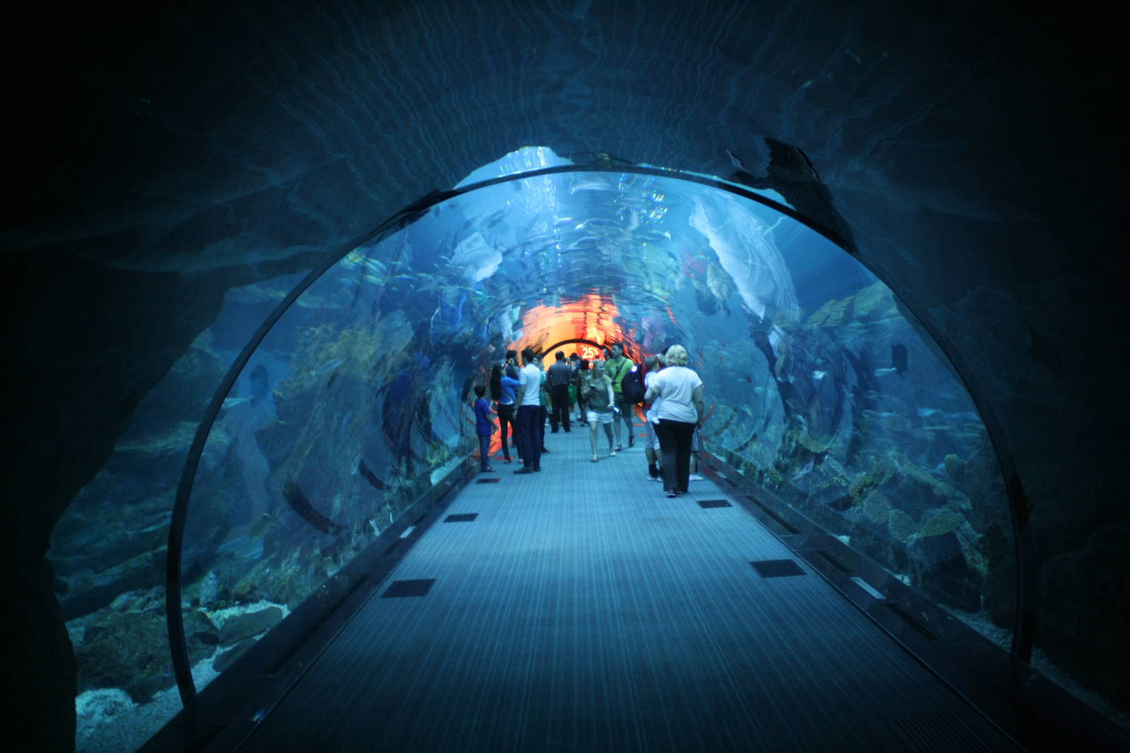 Aquarium Tunnel