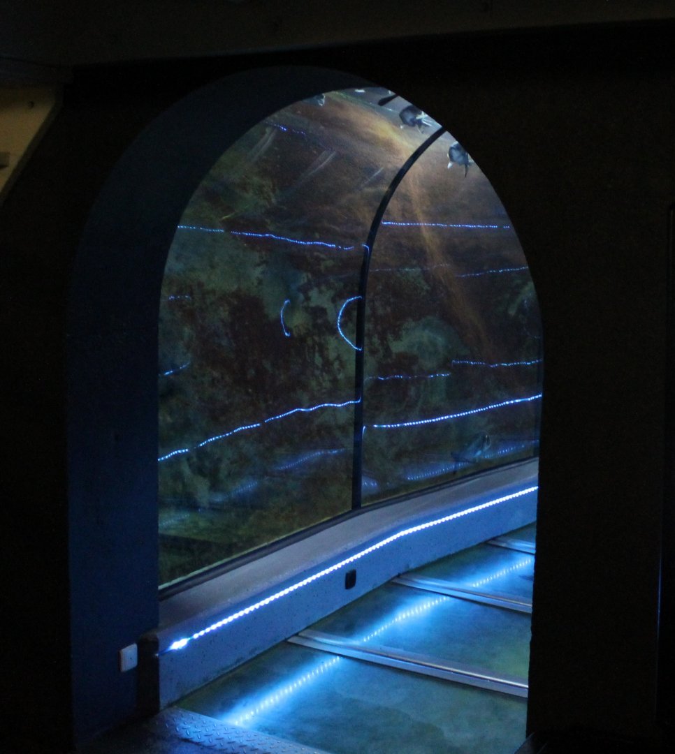 Aquarium-tunnel
