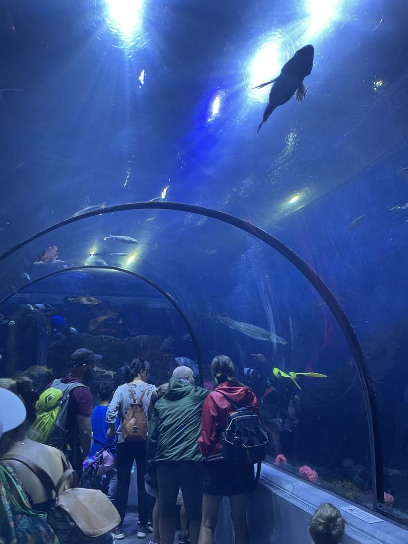 Aquarium tunnel