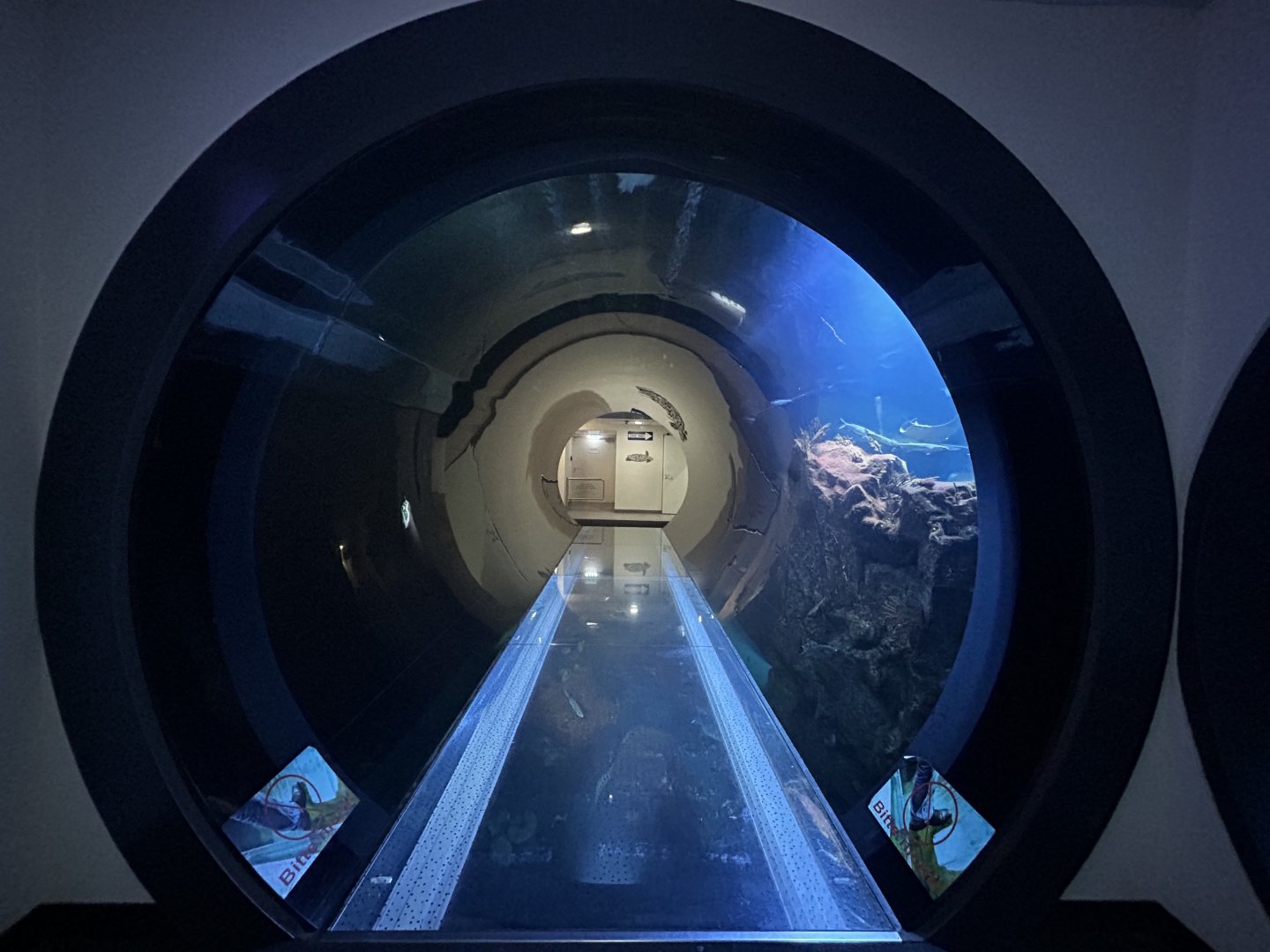 Aquarium Tunnel
