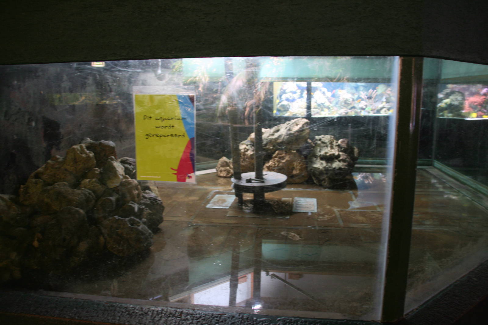 Aquarium under construction