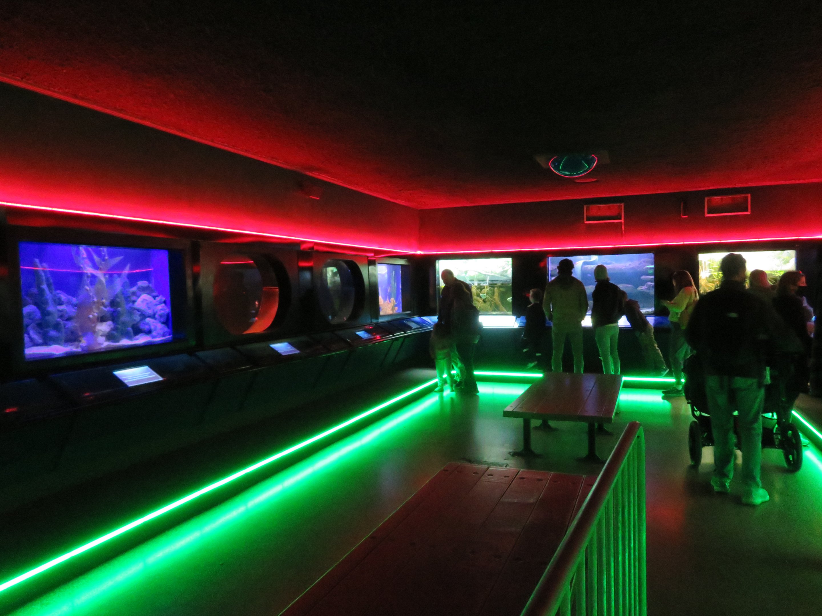 Aquarium - View of Left Half