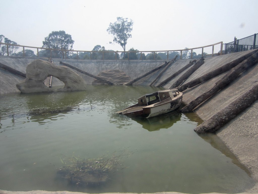 Aquarium view of Shark pool