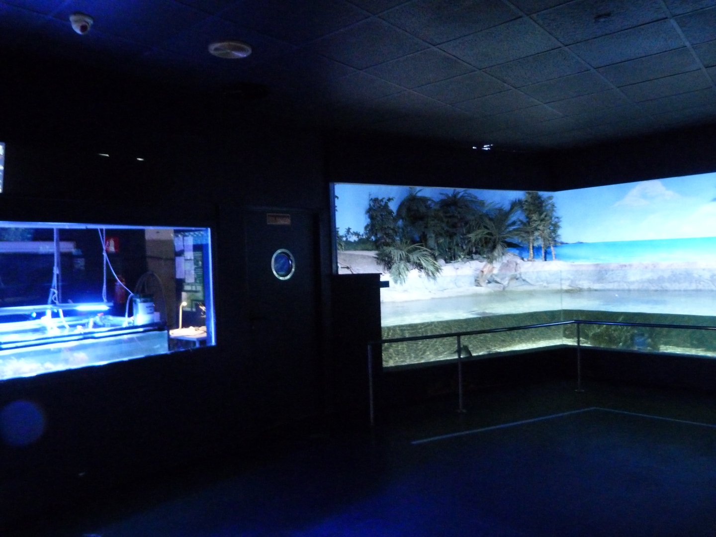 Aquarium view -Zoo Aquarium de Madrid (2025)