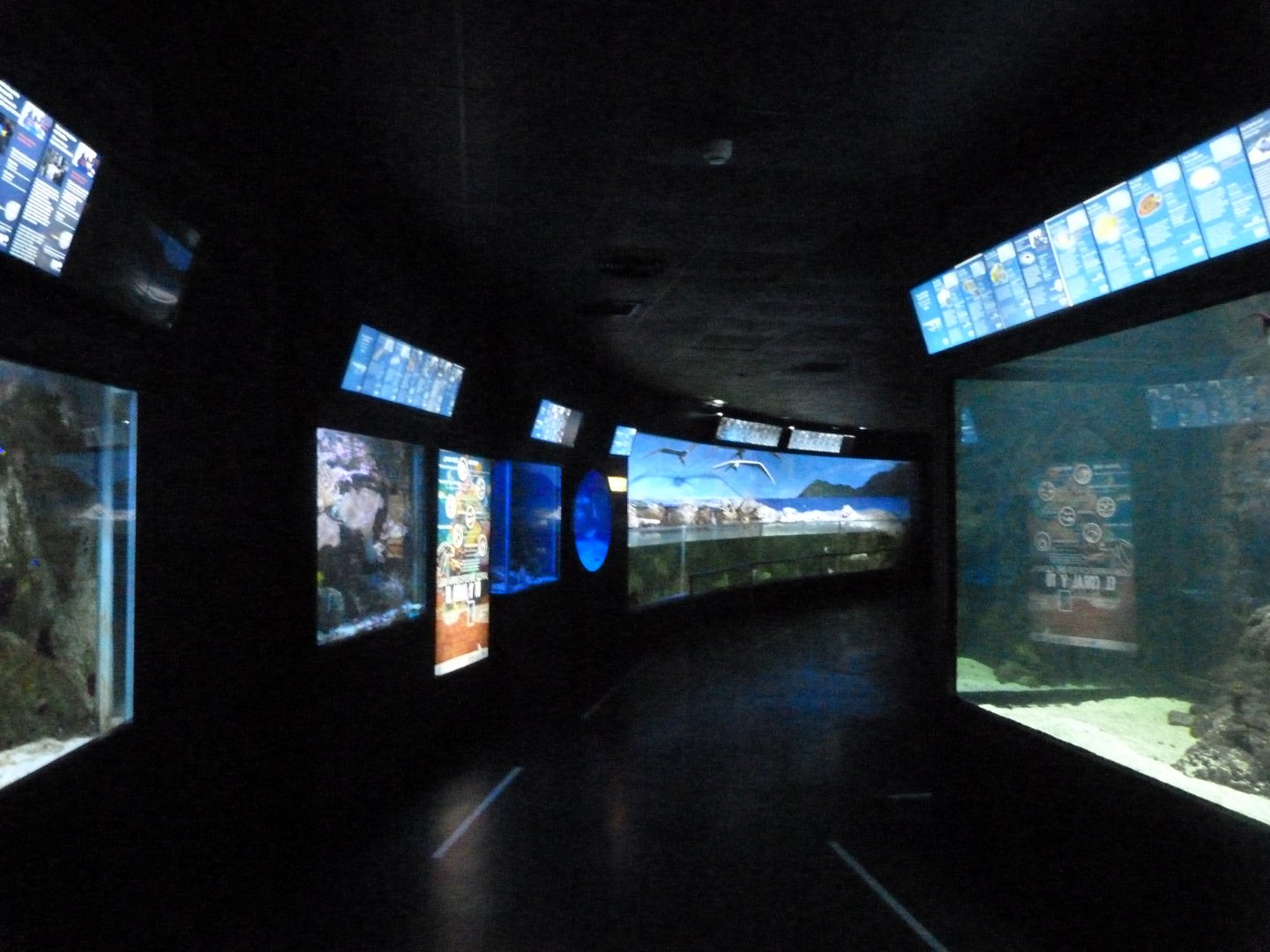 Aquarium view -Zoo Aquarium de Madrid (2025)