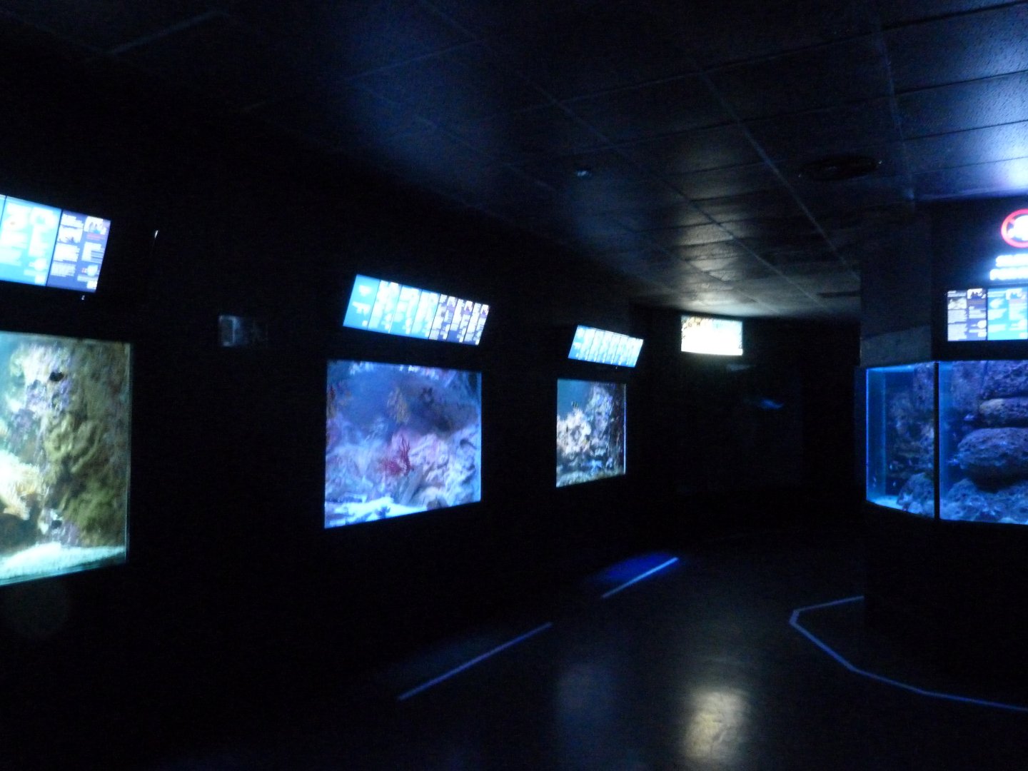 Aquarium view -Zoo Aquarium de Madrid (2025)