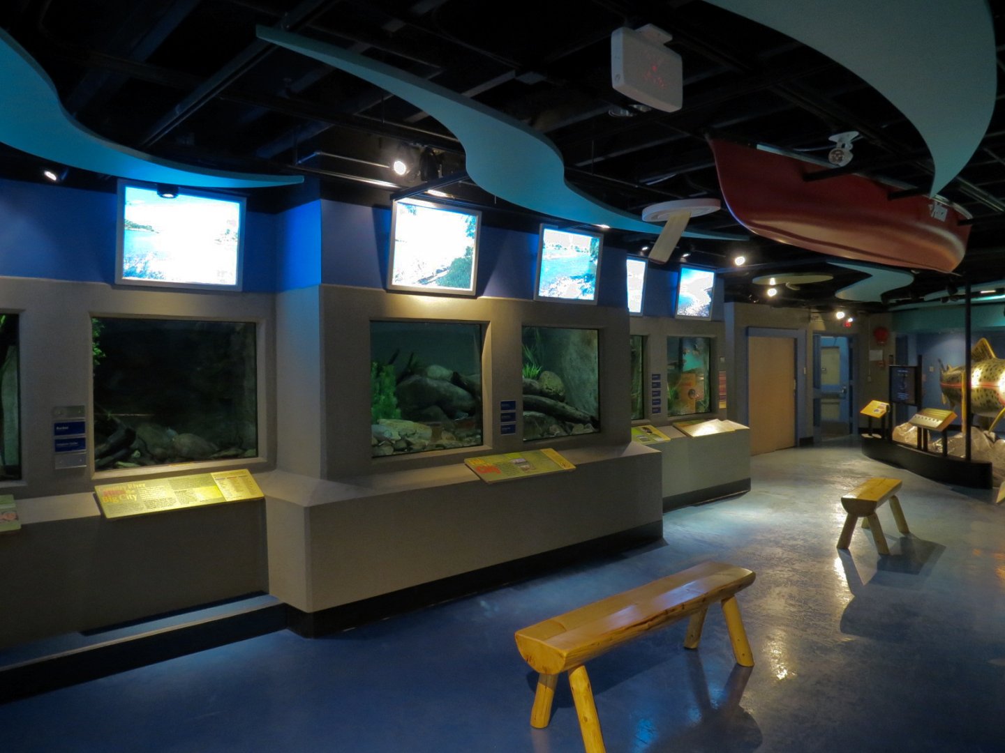 Aquarium - Wall Tanks