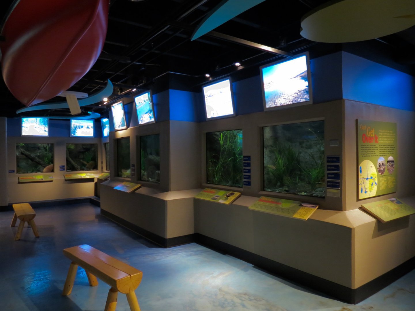 Aquarium - Wall Tanks
